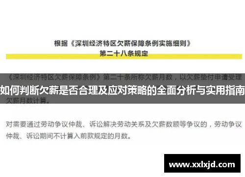 如何判断欠薪是否合理及应对策略的全面分析与实用指南 如何判断欠薪是否合理及应对策略的全面分析与实用指南