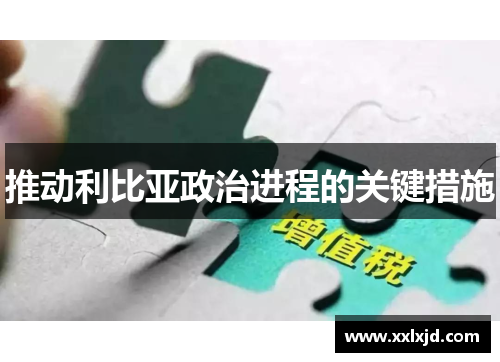 推动利比亚政治进程的关键措施 推动利比亚政治进程的关键措施