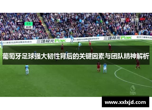 葡萄牙足球强大韧性背后的关键因素与团队精神解析