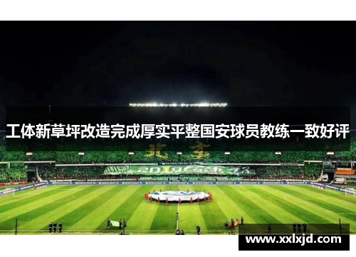 工体新草坪改造完成厚实平整国安球员教练一致好评